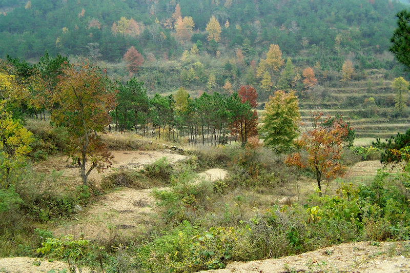 100_9381.jpg
