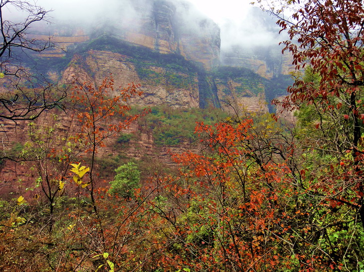 dsc08535.jpg