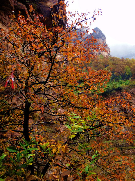 dsc08515.jpg