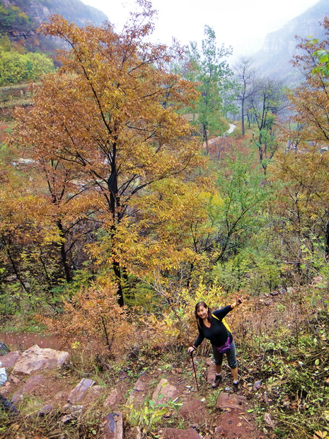 dsc08517.jpg