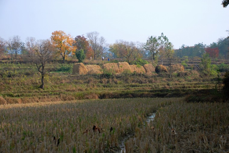 dsc_0221.jpg