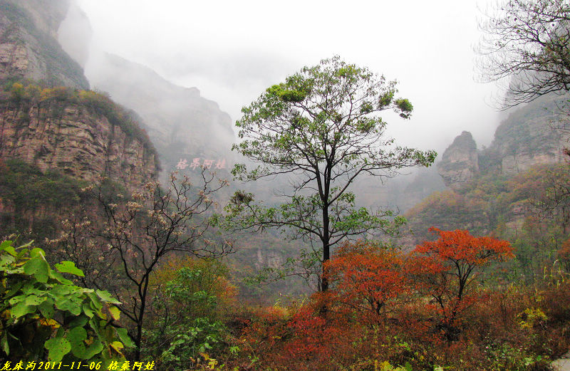 2011ʯҴϿ 1766-1.jpg