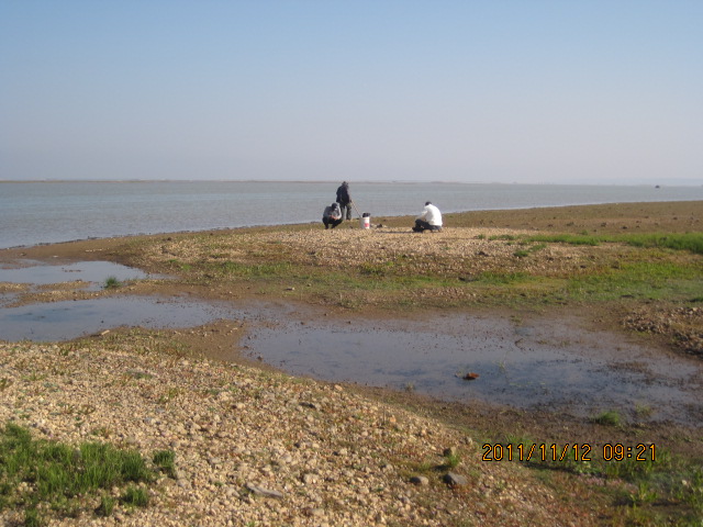 img_5317.jpg