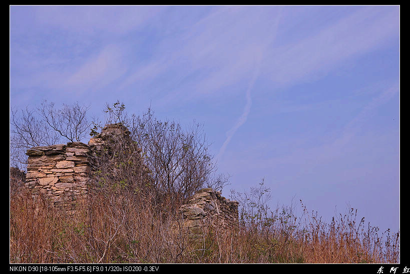 dsc_2294.jpg