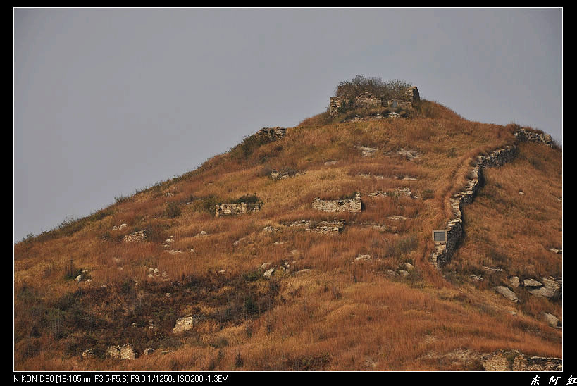 dsc_2291.jpg