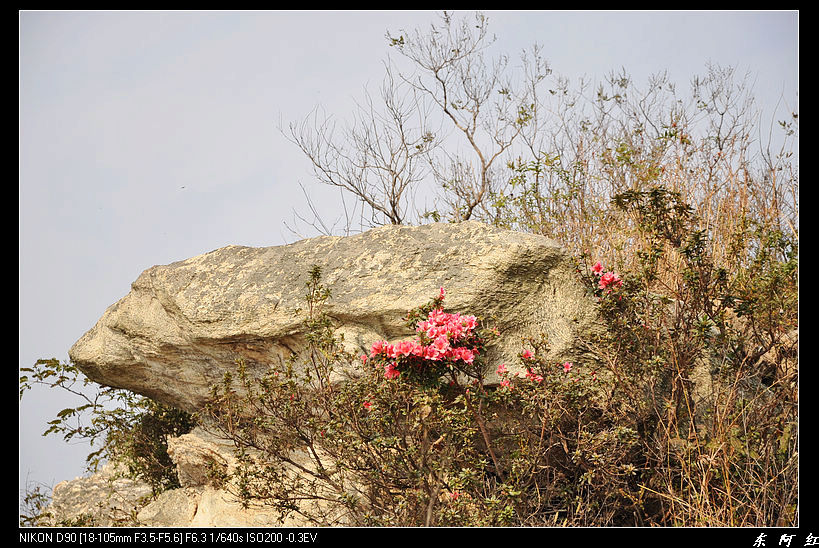dsc_2305.jpg