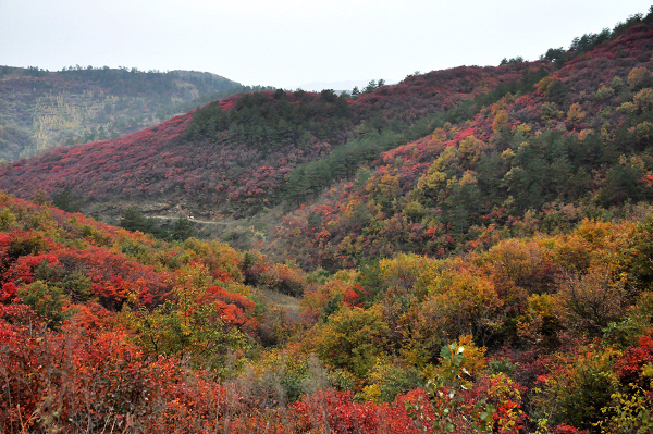 dsc_0067.jpg