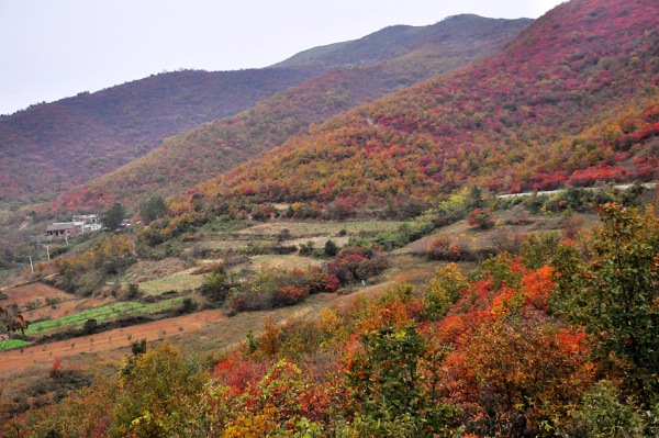 dsc_0070.jpg
