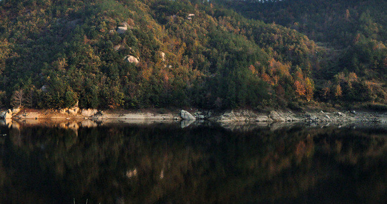 dsc_0156_.jpg