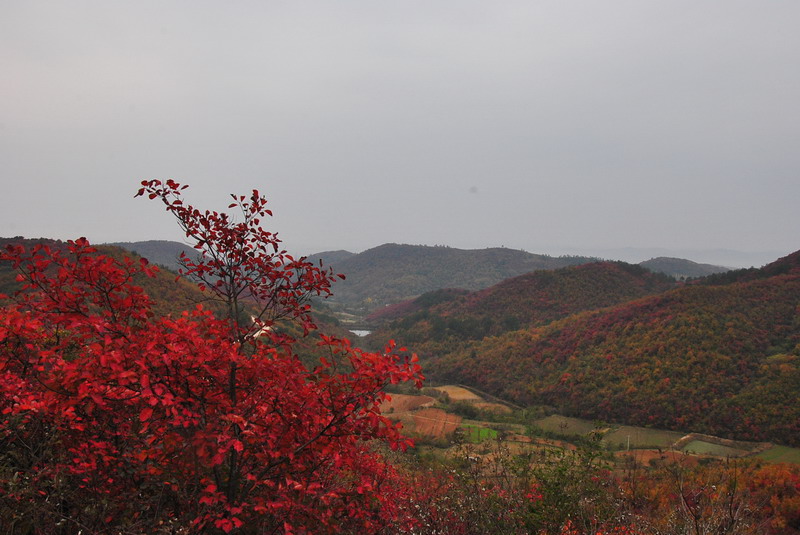 2011ƸںҶ_097_С.jpg
