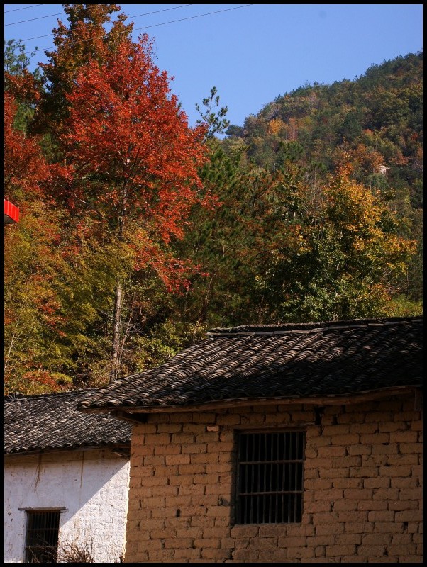 conew_ 092_conew1.jpg