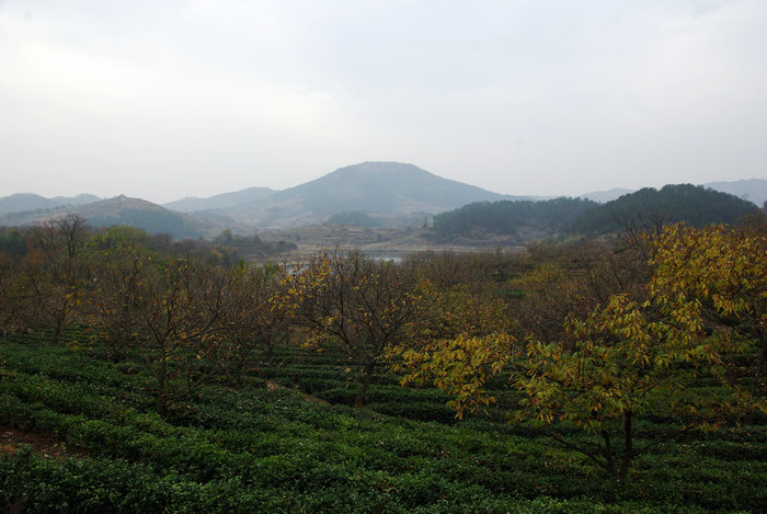 imgp6715.jpg