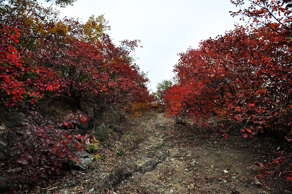 dsc_0086.jpg