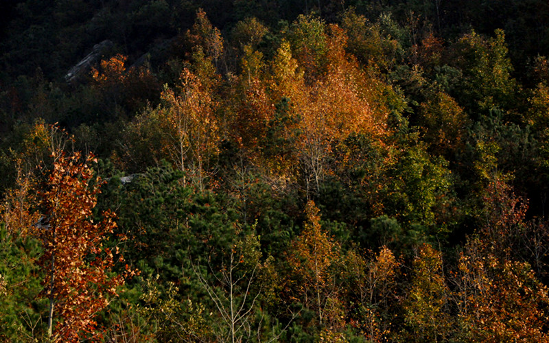 dsc_0133_.jpg