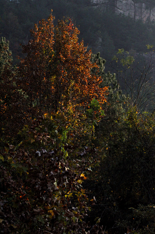 dsc_0131_.jpg