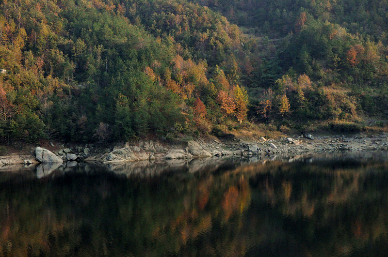 dsc_0153_.jpg