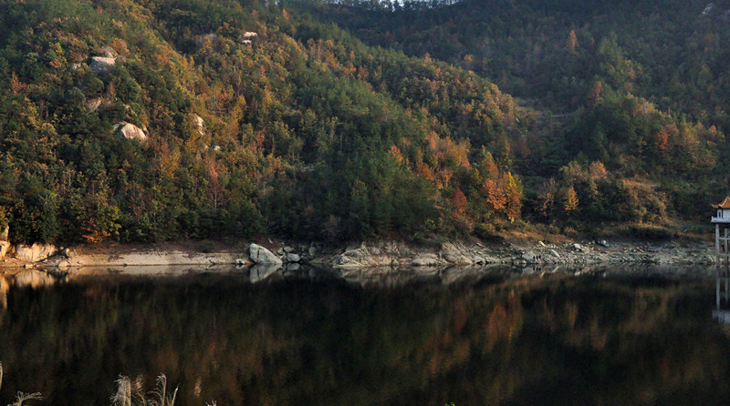 dsc_0154_.jpg