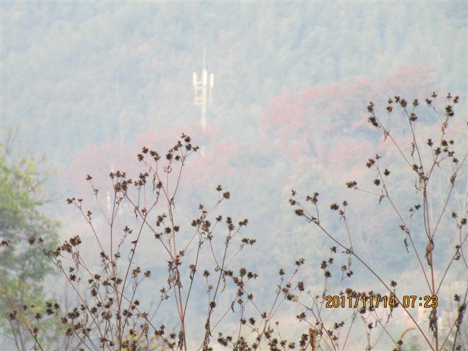 Ҷ.jpg
