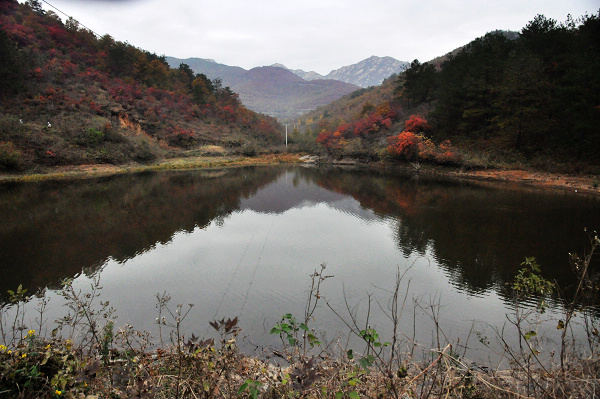 dsc_0125.jpg