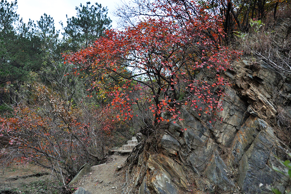 dsc_0126.jpg