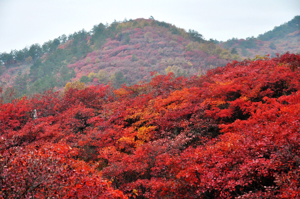 dsc_0134.jpg