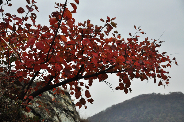 dsc_0155.jpg