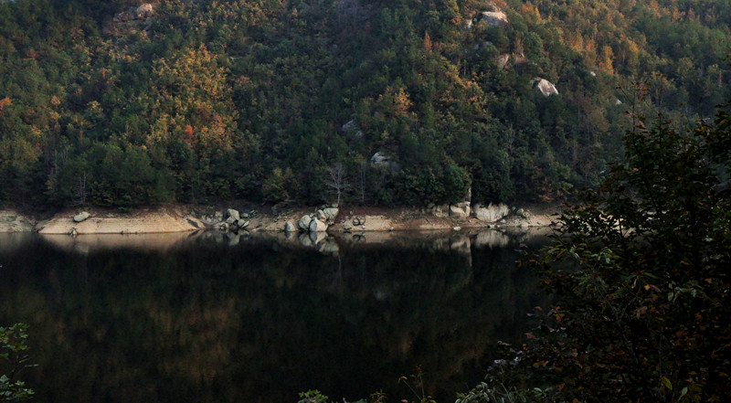 dsc_0164_.jpg