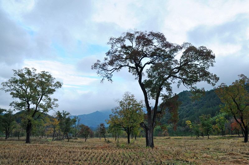 dsc_0294.jpg