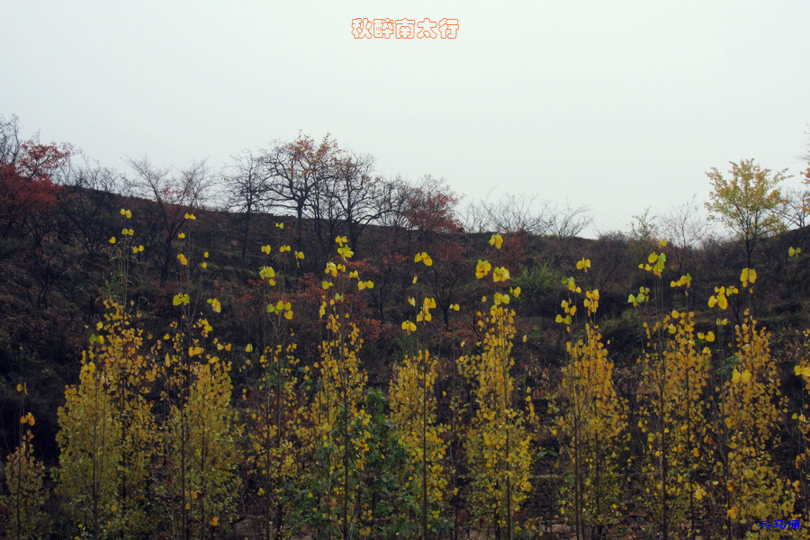 ̫488.jpg