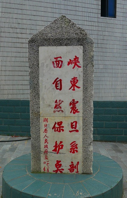 81168.jpg