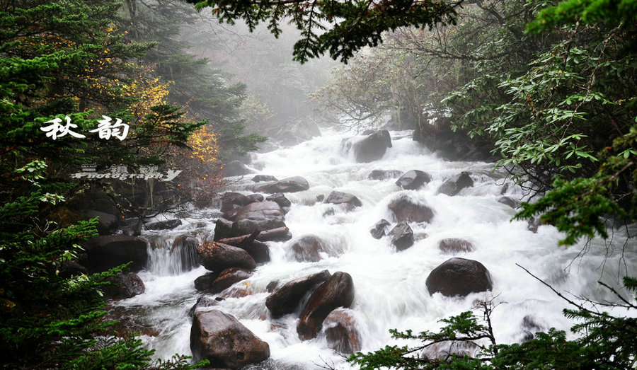 dsc_4503.jpg