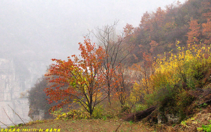2011ʯҴϿ 1087-1.jpg