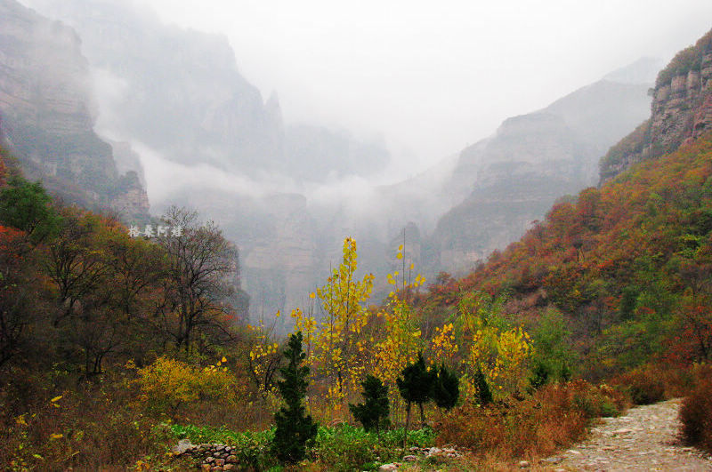 2011ʯҴϿ 1950-11.jpg