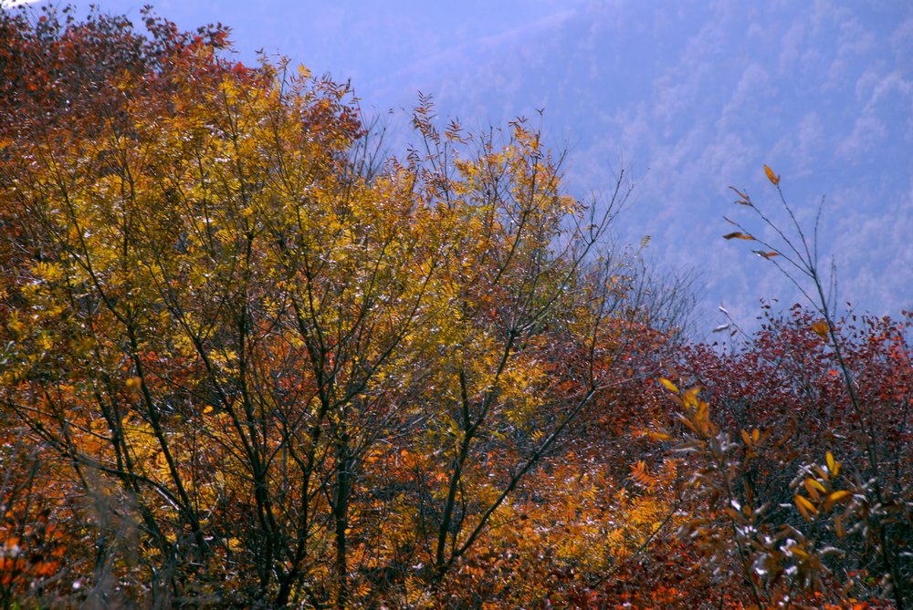 dsc_0031.jpg