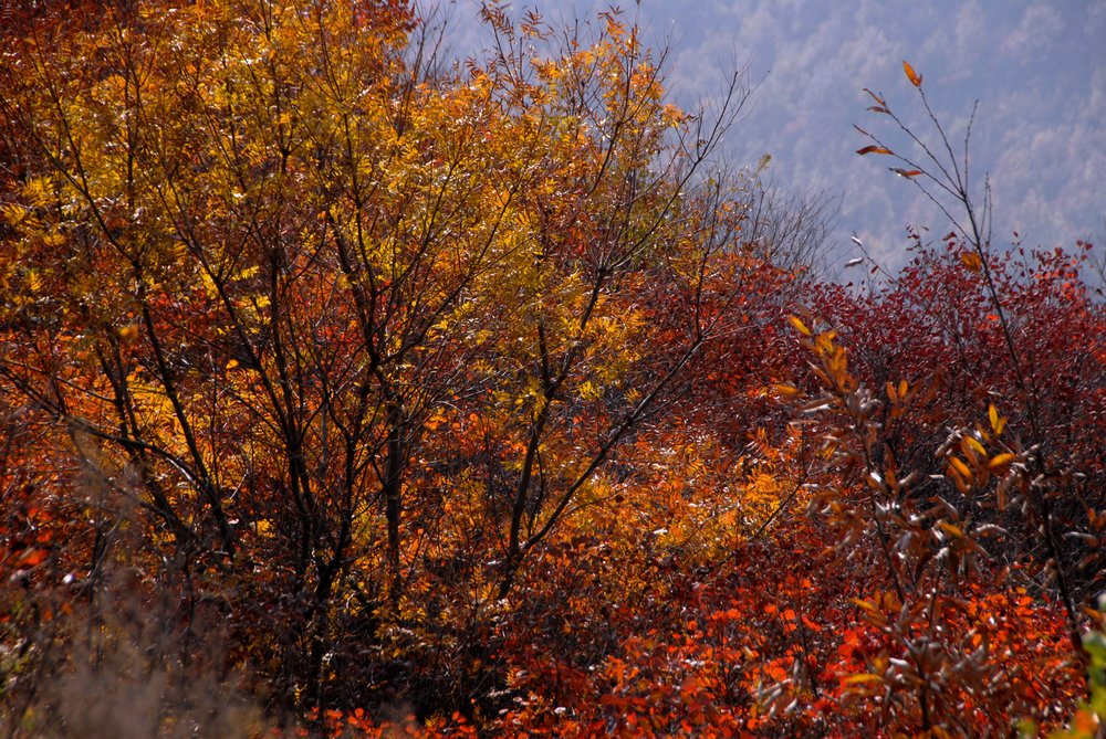 dsc_0033.jpg