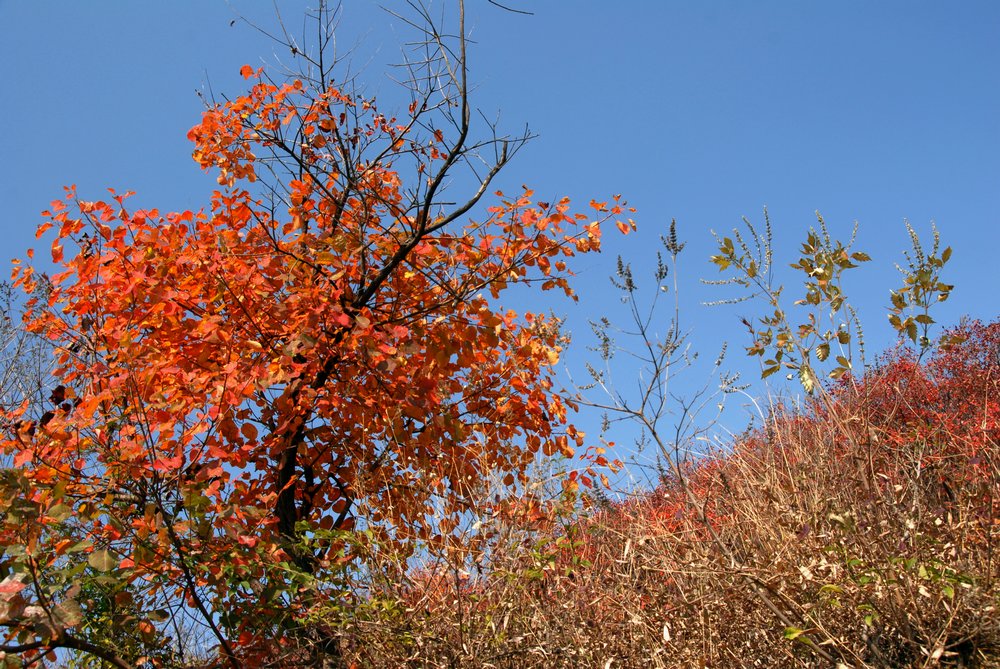 dsc_0057.jpg