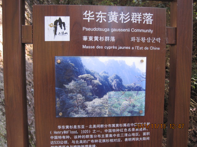 img_5658.jpg