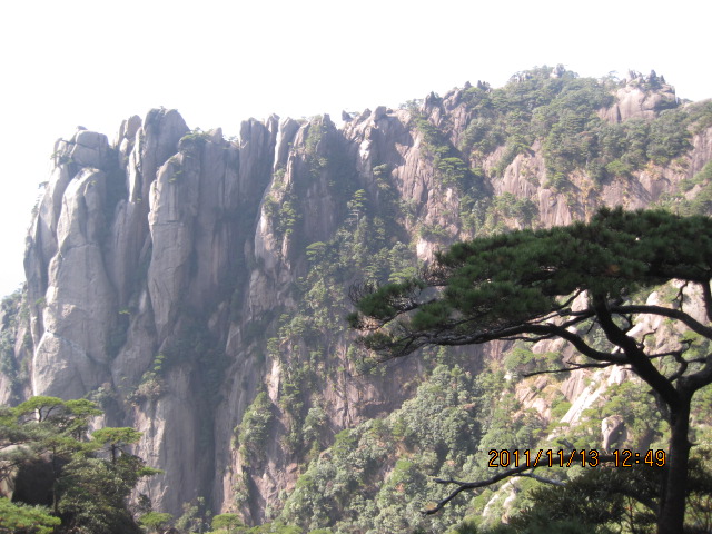 img_5661.jpg