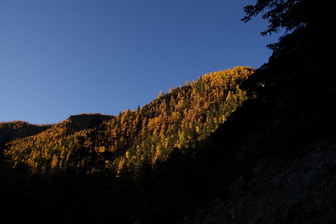 dsc01357.jpg