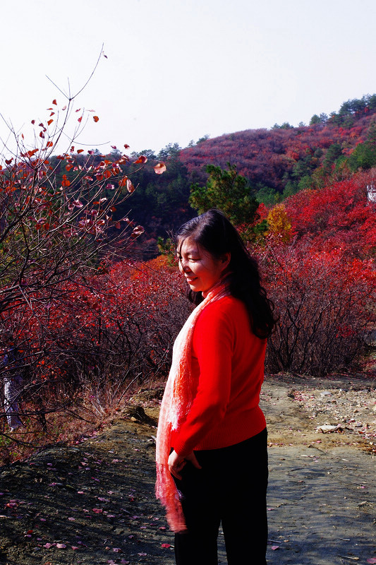imgp0083.jpg