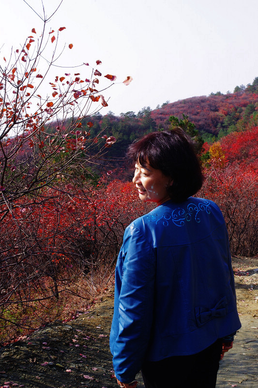 imgp0086.jpg