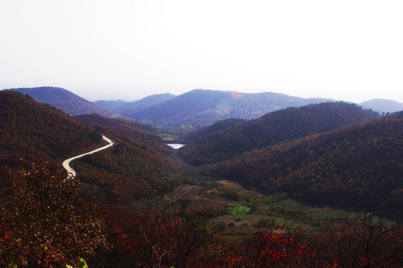 imgp0218.jpg