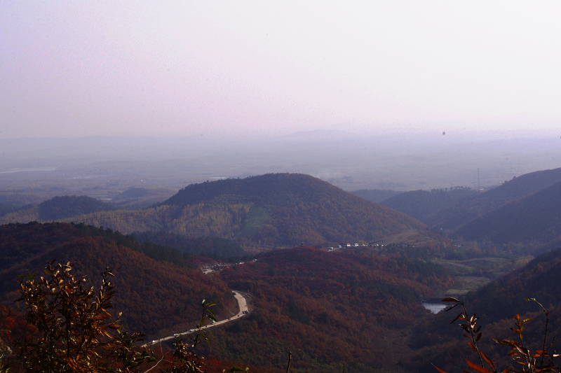 imgp0224.jpg