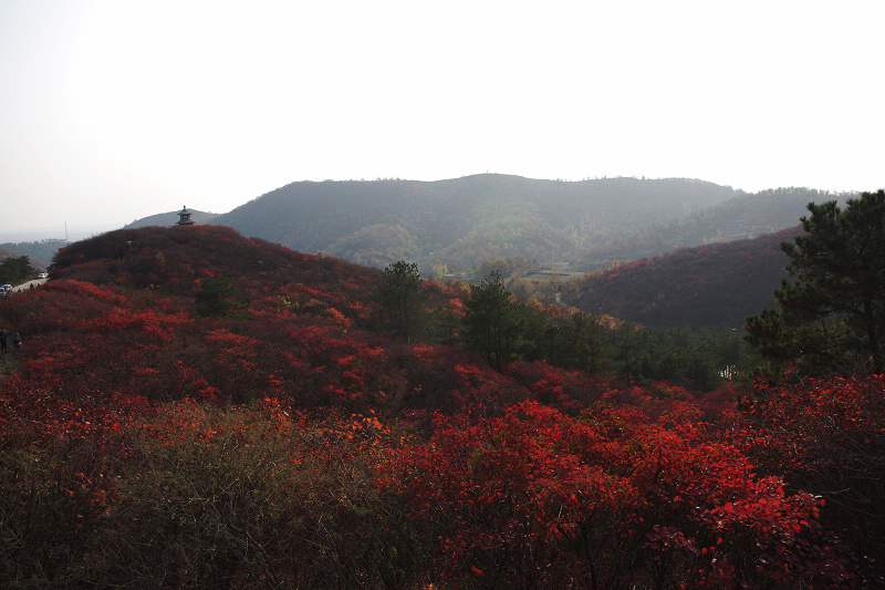 imgp0258.jpg