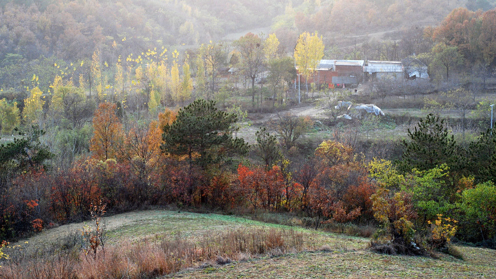 dsc_0247.jpg