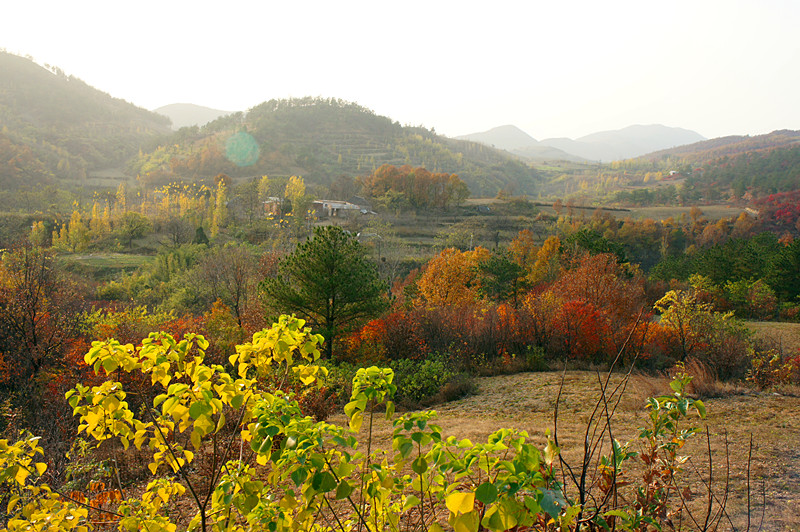 dsc03972_.jpg