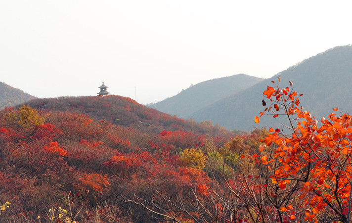 dsc03905_.jpg