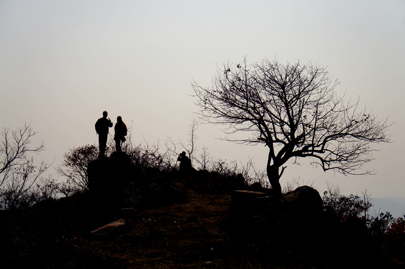 dsc03757_.jpg
