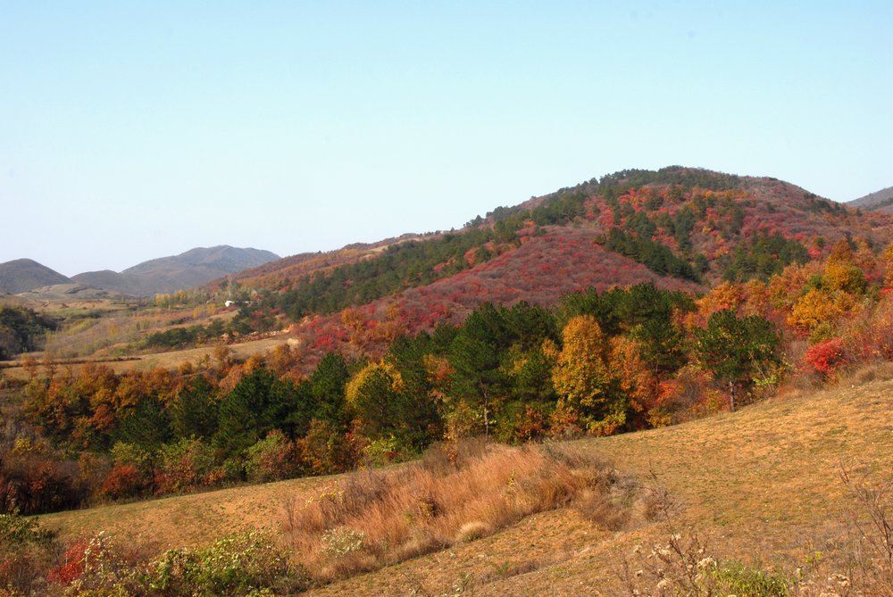 dsc_0001.jpg
