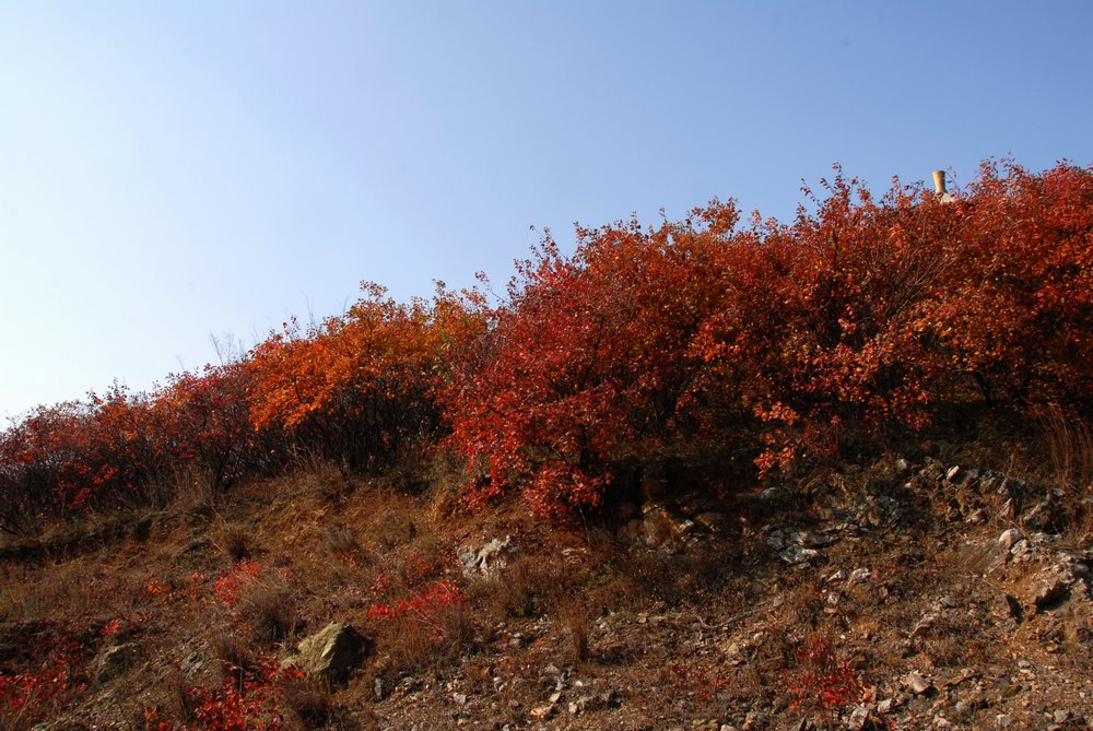 dsc_0013.jpg